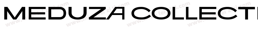 Meduza Collection F Extra Bold 斜体文本字体转换